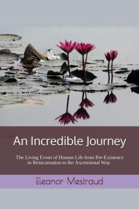 The Cover of An Incredible Journey